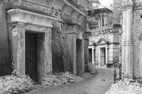 Highgate Cemetery Infrared and Monochrome London Photography Day