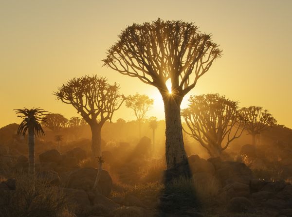 Dawn light among these ancient prehistorical wonders