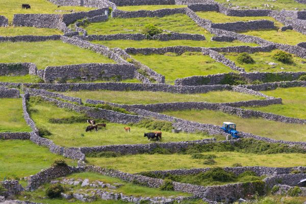 Western Ireland 2025