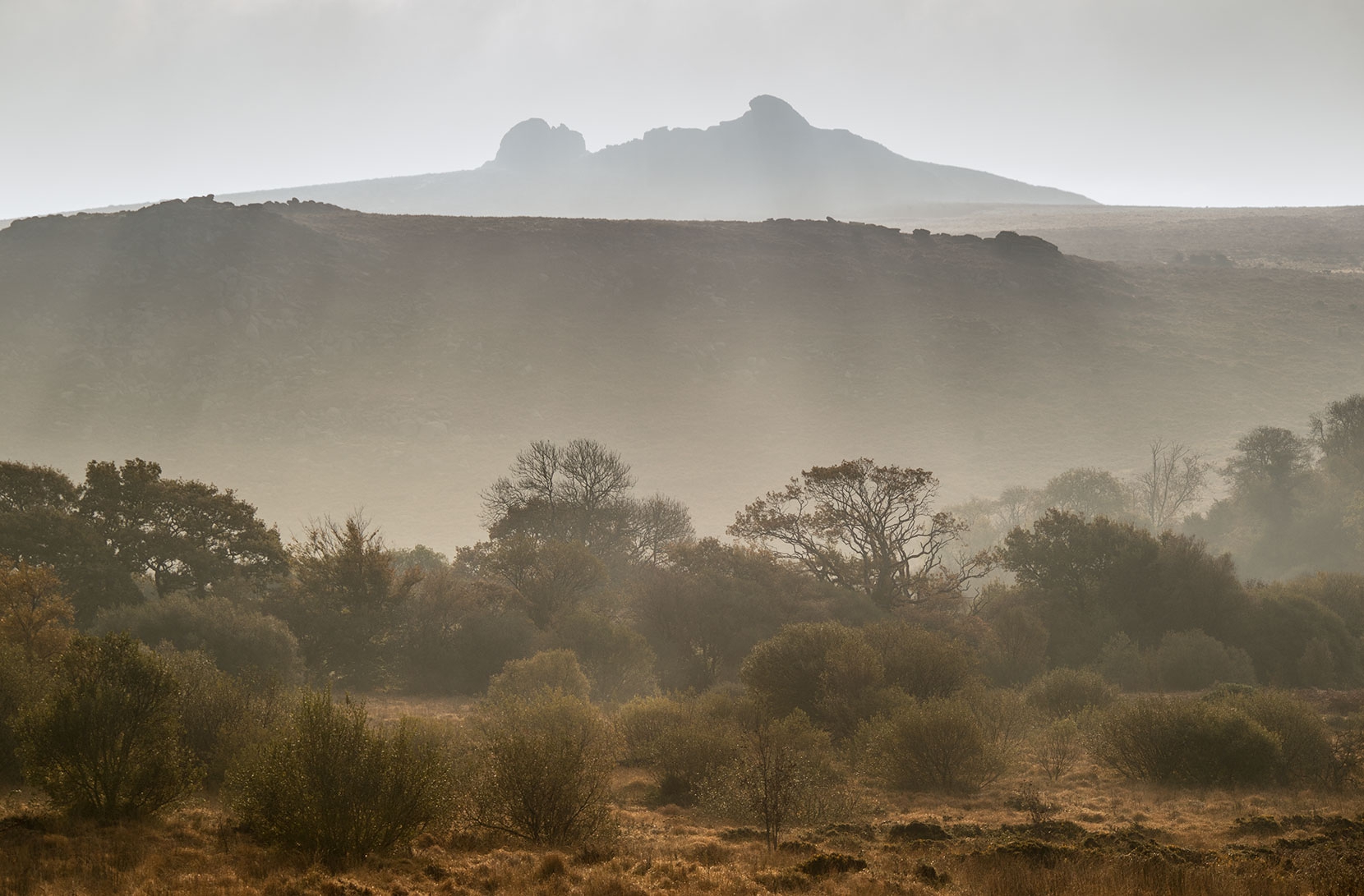 A rather dry marshland - those grasses look wonderful even in white light. I had no idea the beams were even there until I opened the image in Lightroom