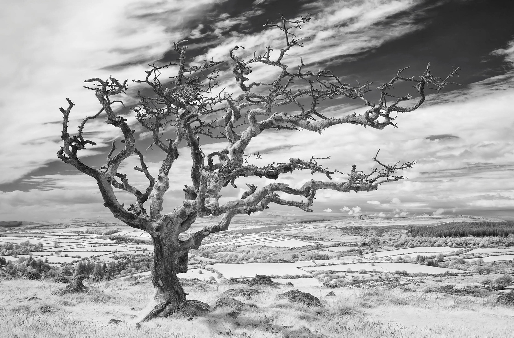 Infrared image from 2012