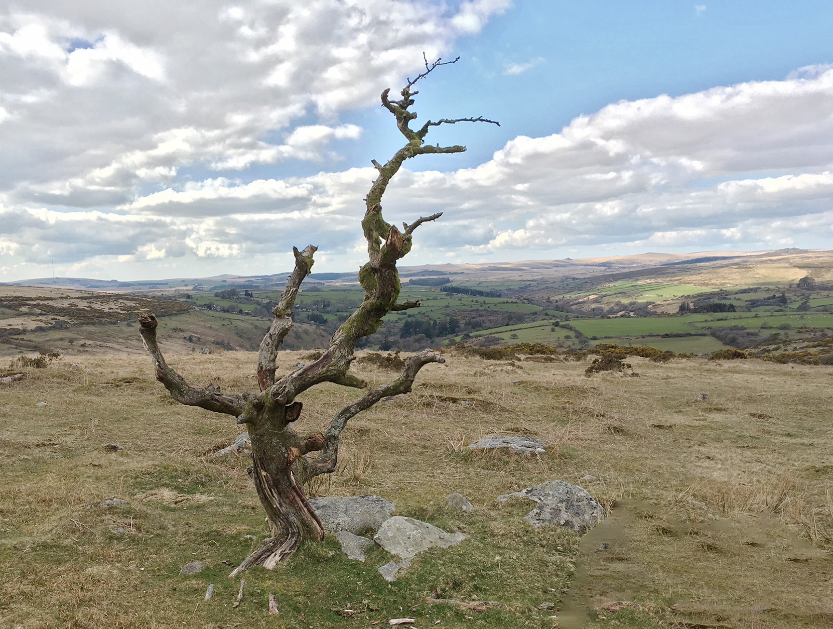 iPhone image from yesterday...