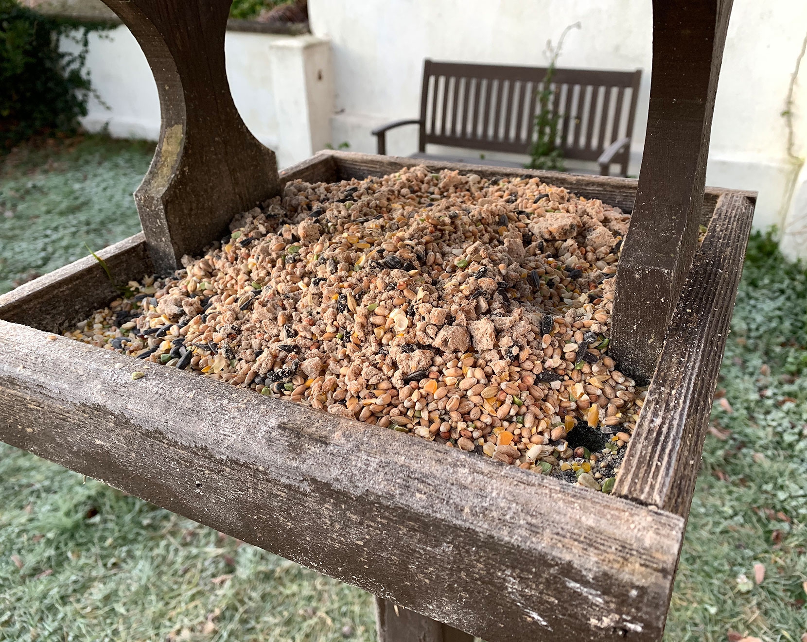 Wild bird seed and fatballs - its all gone by lunchtime.