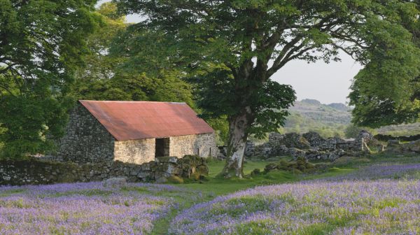 A Dartmoor Springtime - A Short Film