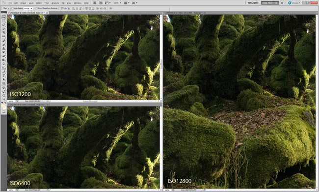 Canon 1Dx image at ISO3200, 6400 and 12800