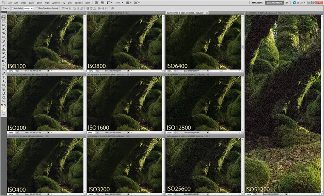 Canon 1Dx ISO test