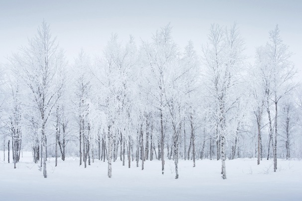 David Clapp Canon 1Dx Field Test - in the snow in Norway
