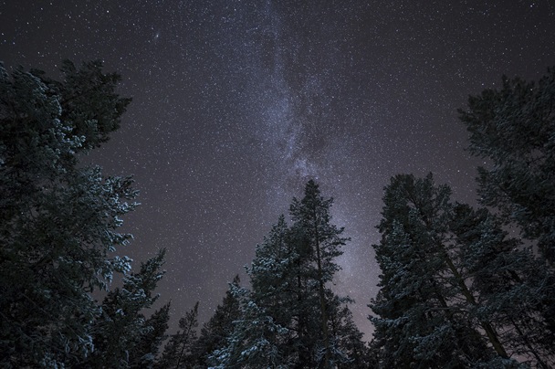 David Clapp Canon 1Dx Field Test - amazing shadow detail even in the dark