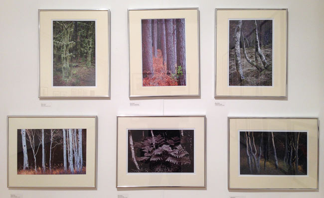 Light and Land - Mall Galleries