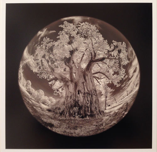 Light and Land - Mall Galleries