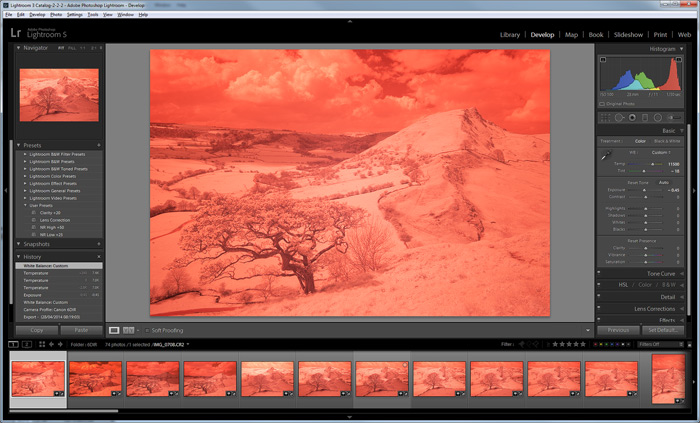 David Clapp - Lightroom White Balance Profile Infrared Processing