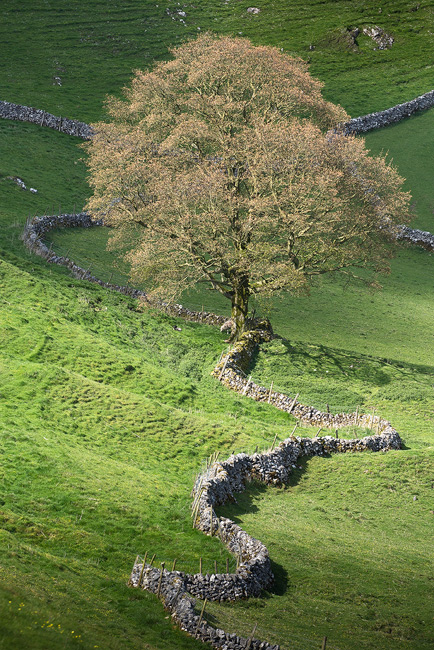 Light and Land Peak District Workshop with David Clapp & Doug Chinnery