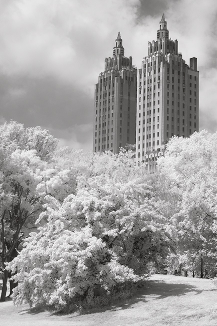 infrared image in Central Park