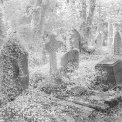 Highgate Cemetery Infrared and Monochrome London Photography Day 6