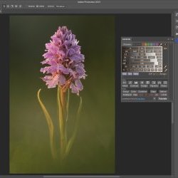 Online Photoshop Lightroom and Video Training 2