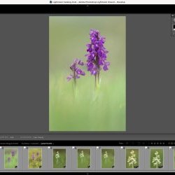 Online Photoshop Lightroom and Video Training 6