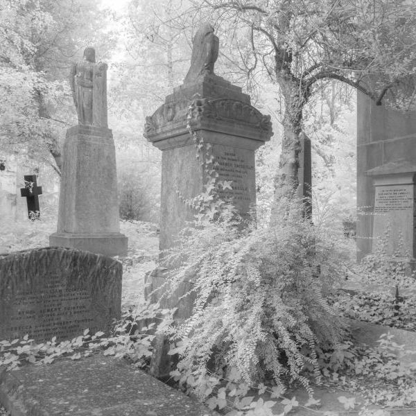 Highgate Cemetery Infrared and Monochrome London Photography Day