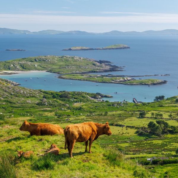 Western Ireland 2025
